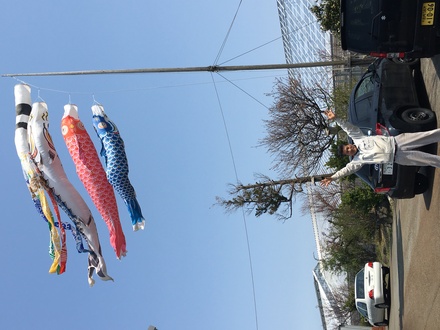 鯉のぼり